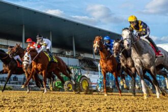 Noel's weekend winner: Value play at Big A on Saturday.