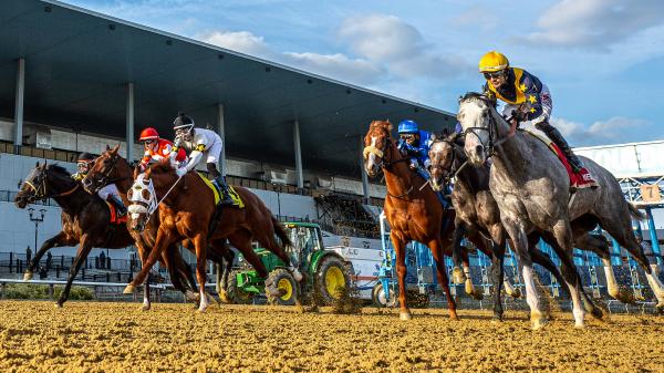 Noel's weekend winner: Value play at Big A on Saturday.