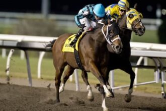 Norvals aim for consecutive wins at Kennedy Road