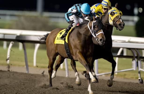 Norvals aim for consecutive wins at Kennedy Road