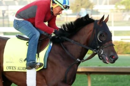 Owen Almighty leads major prize winners on tab