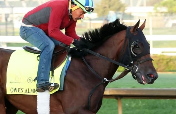 Owen Almighty leads major prize winners on tab