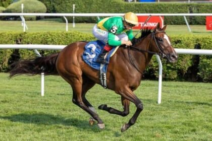 Ozara leads major prize winners on tab