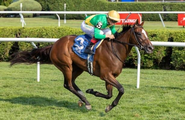 Ozara leads major prize winners on tab