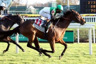 Proctor Street finds room to win against Cardinal