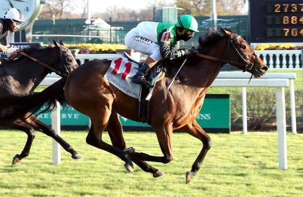 Proctor Street finds room to win against Cardinal