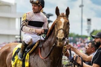 Raging Sea leads major prize winners on tab