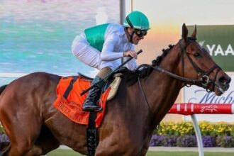 Recreate true quality with Hollywood Turf Cup