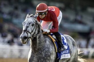 Roll on Big Joe wins bullet and leads 11th on tab