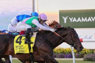 Salamis wins Grade 1 Hollywood Derby