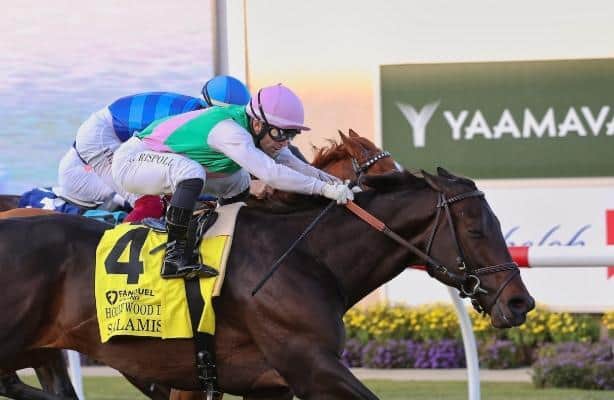Salamis wins Grade 1 Hollywood Derby