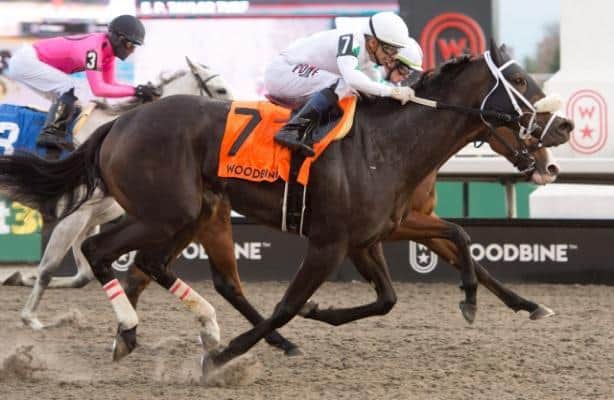 Saturday Stakes won by Sultana, Pondering and Dresden Row