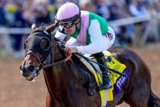 Scylla goes all out to score Breeders' Cup points Distaff upset