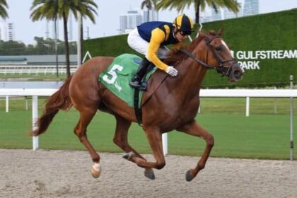 Sister Troenne scores in opening day stakes