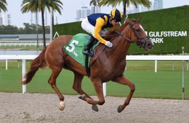 Sister Troenne scores in opening day stakes