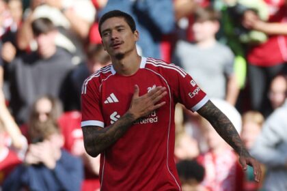 Slotter Luis Suarez currently has 'no offer for Liverpool over Nunez'