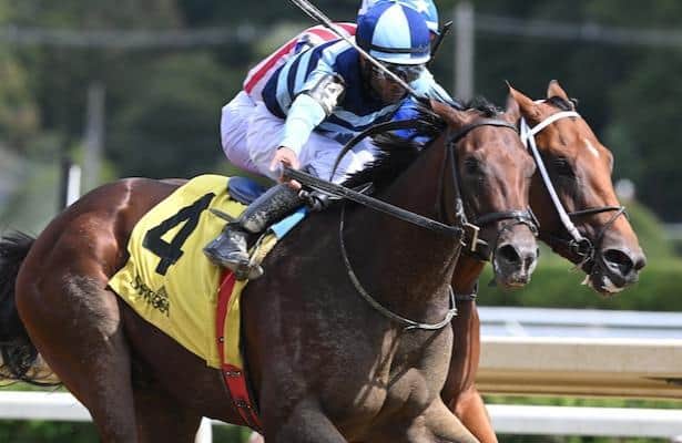 Talkin practices at Belmont ahead of Remsen's start.