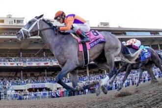 Ted Nophy completes 2-year-old campaign with Breeders' Cup Juvenile win