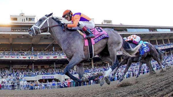 Ted Nophy completes 2-year-old campaign with Breeders' Cup Juvenile win