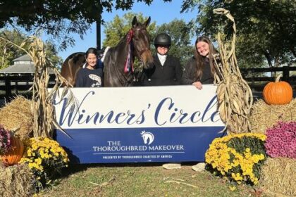 Thoroughbred Transformation Diary: A Successful and Rewarding Experience for Teddy's Team