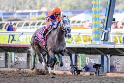 Undefeated Ted Nophy's eyes are a sacred bull, a fountain of youth