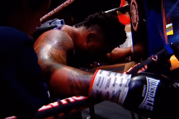 Greg Hardy, UFC, NFL