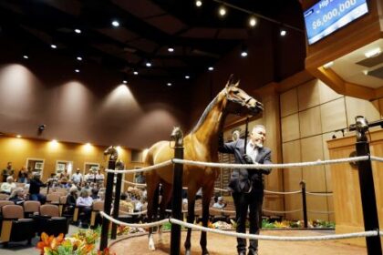 WHERE TO WATCH/WATCH: Horse Racing and Sale Coverage November 3-9