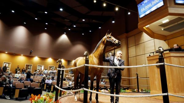WHERE TO WATCH/WATCH: Horse Racing and Sale Coverage November 3-9