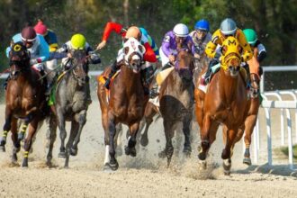 Where to watch: Horse Racing Coverage November 19-23