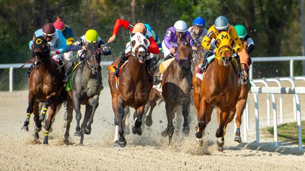 Where to watch: Horse Racing Coverage November 19-23