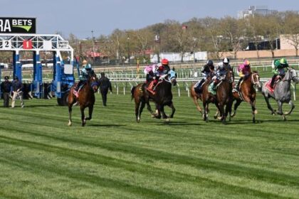 Winners of Noel's Weekend: Marquee Stakes at Aqueduct in mid-November