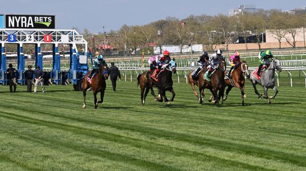 Winners of Noel's Weekend: Marquee Stakes at Aqueduct in mid-November