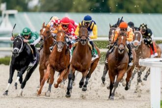 Wolfy's Dyna Ghost makes his first start for Lynch.