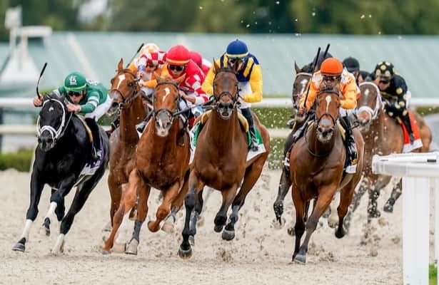 Wolfy's Dyna Ghost makes his first start for Lynch.