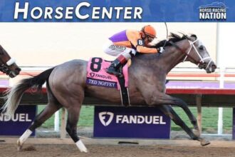 10 horses you're most looking forward to in 2026