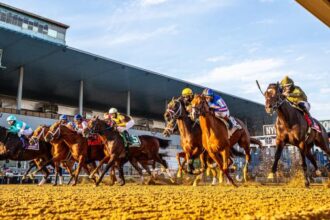 ABR Sunday Selection: Full Card Pick at Suidobashi on December 14th