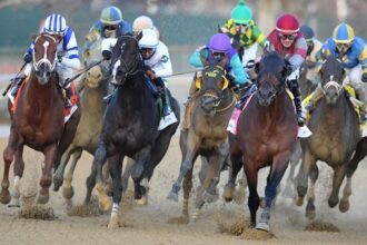 2025 Cigar Mile Handicap Cheat Sheet