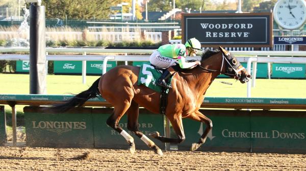 2025 Gun Runner Stakes Overview