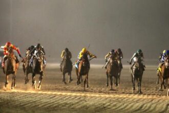 2025 Remington Springboard Mile Overview