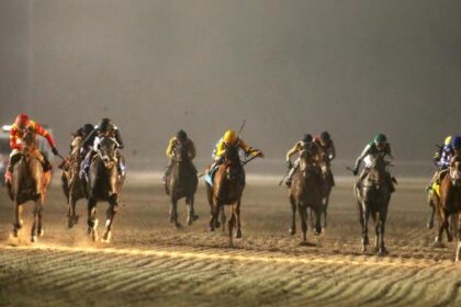 2025 Remington Springboard Mile Overview