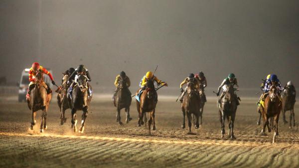 2025 Remington Springboard Mile Overview