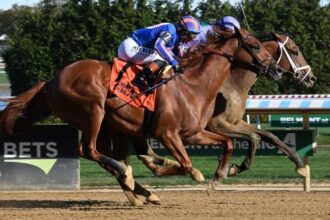 2025 Remsen Stakes Overview