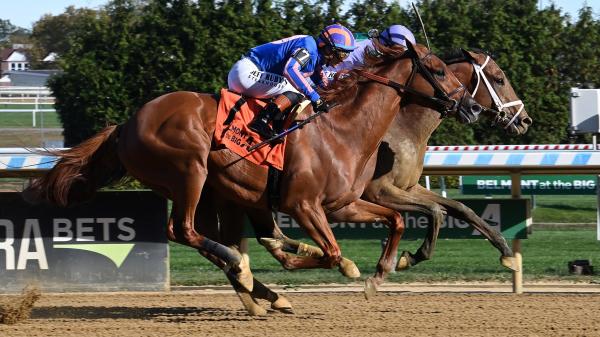 2025 Remsen Stakes Overview