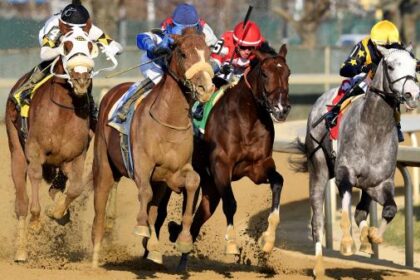2025 Remsen Stakes Profitable Trifecta Betting Strategy