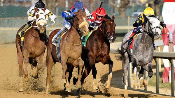 2025 Remsen Stakes Profitable Trifecta Betting Strategy