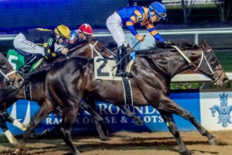 2026 Kentucky Derby Prediction Profile: Gun Runner Stakes Winner Chip Honcho