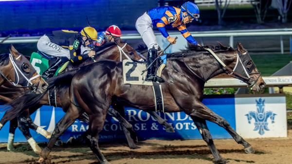 2026 Kentucky Derby Prediction Profile: Gun Runner Stakes Winner Chip Honcho