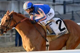 2026 Kentucky Derby Prediction Profile: Remsen Stakes Winner Paladin