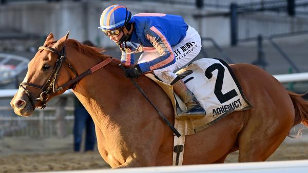 2026 Kentucky Derby Prediction Profile: Remsen Stakes Winner Paladin