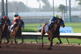 2026 Kentucky Derby Prospect Profile: Litmus Test for Los Alamitos Futurity Winner